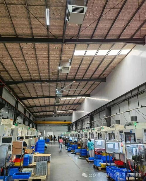 夏至已至，廠房車間降溫通風方案指南請查收——滬通全球助您暢享清涼夏日